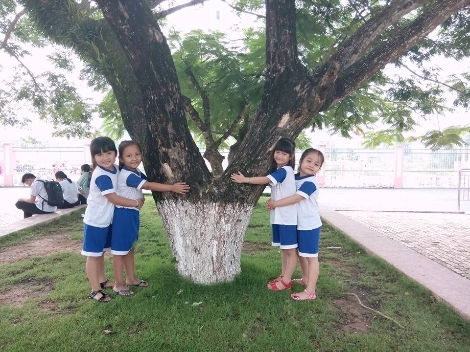 18581524 802916443193492 6572838459227431682 n