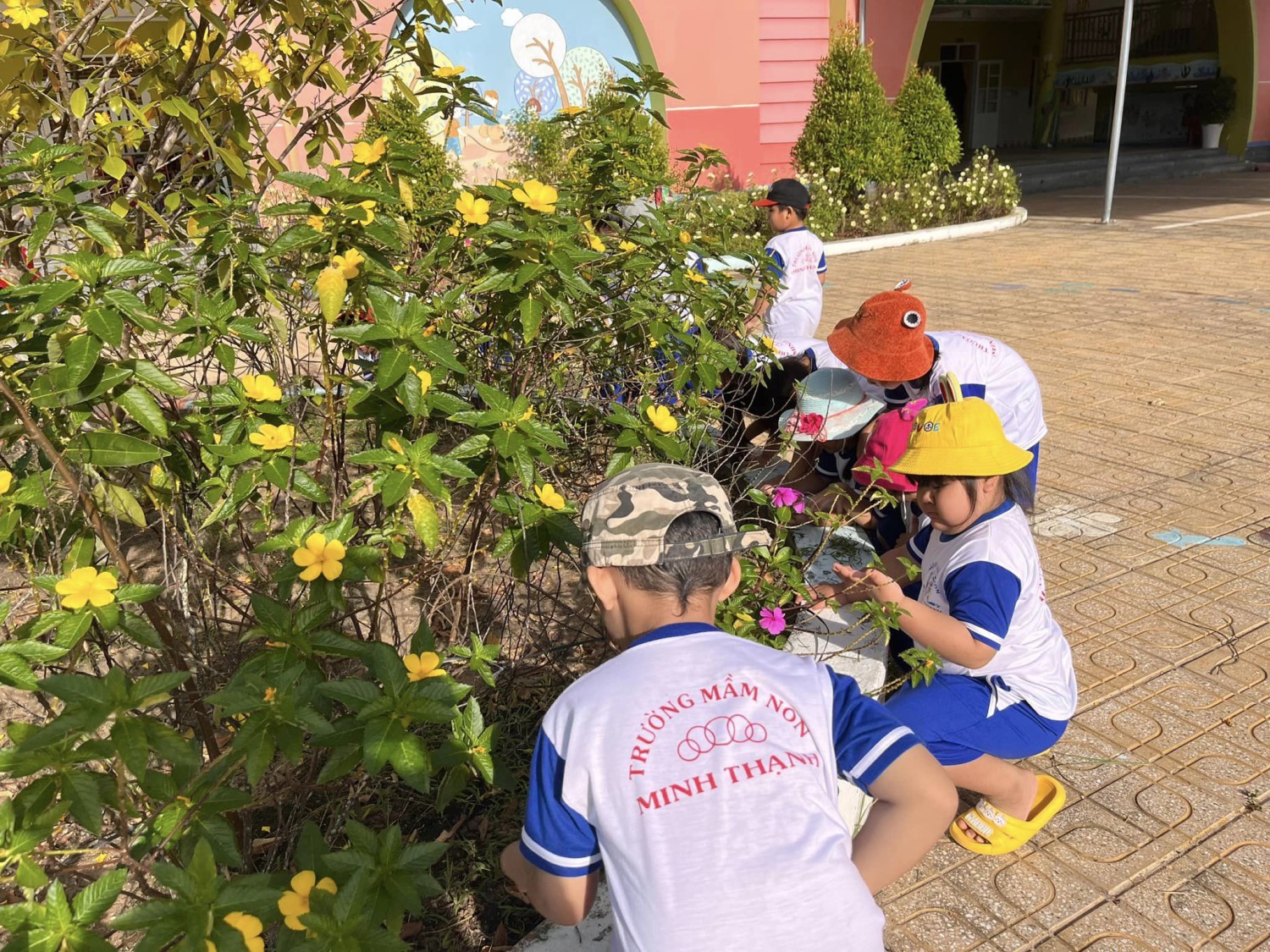 317856977 2389774327841489 90995565785056706 n