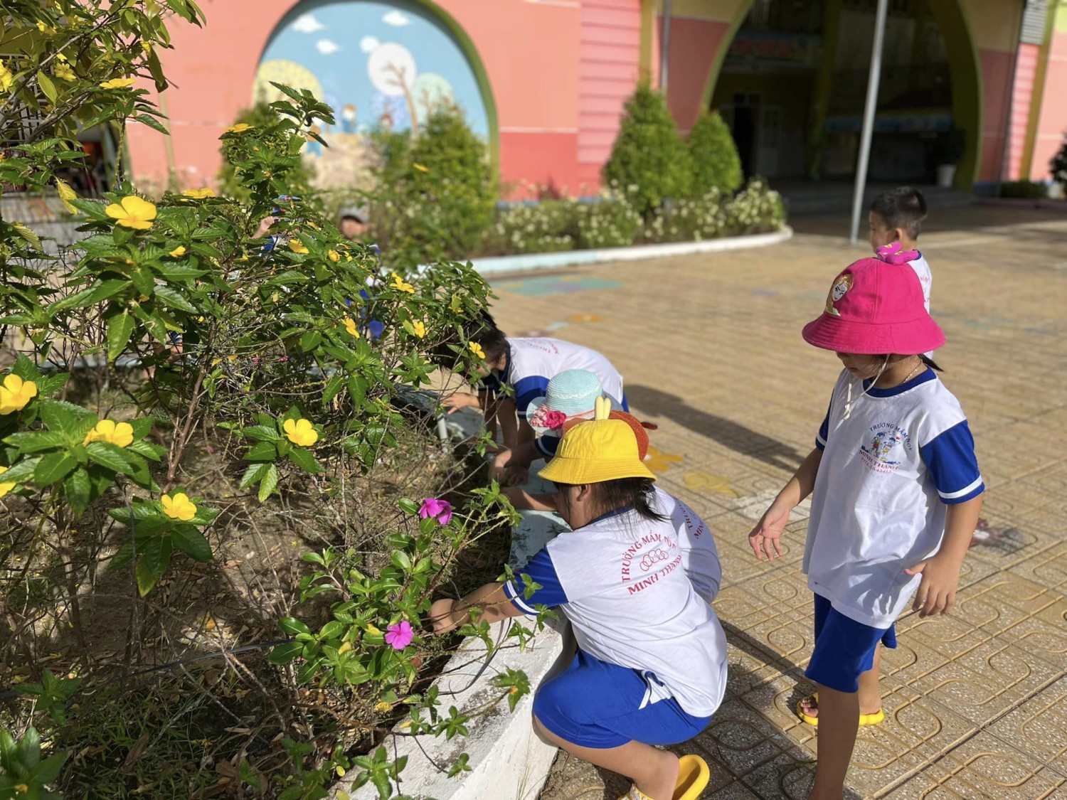 317869643 2389774434508145 1669678377149423696 n