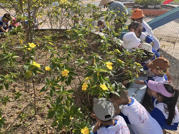 317976238 2389774337841488 7638188721435546467 n