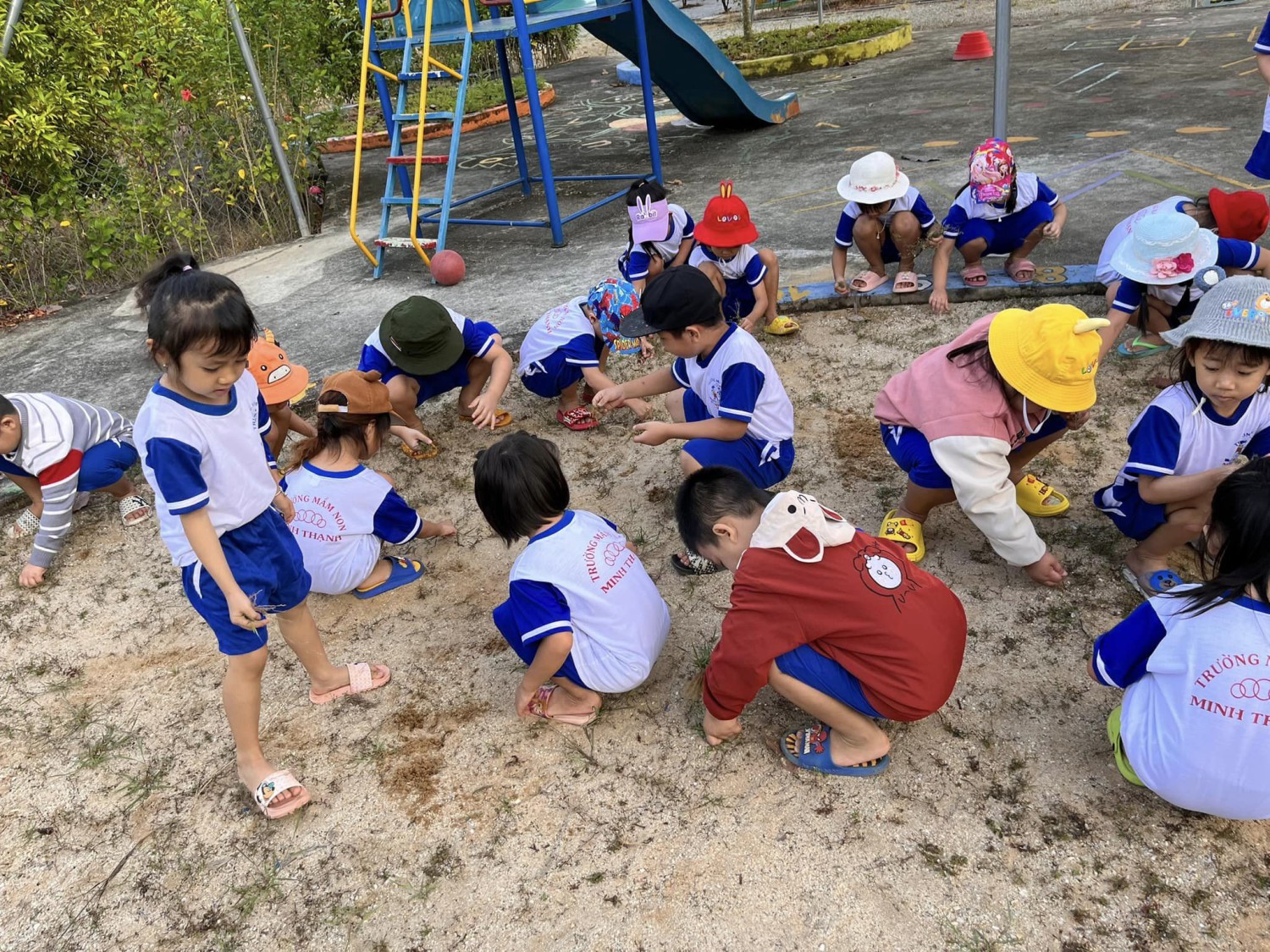 320338567 1364964220915075 9204886039009067976 n