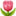 Description: 🌷